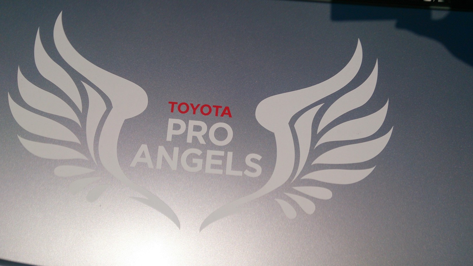 Aagaard & Veltz aka The Pro Angels